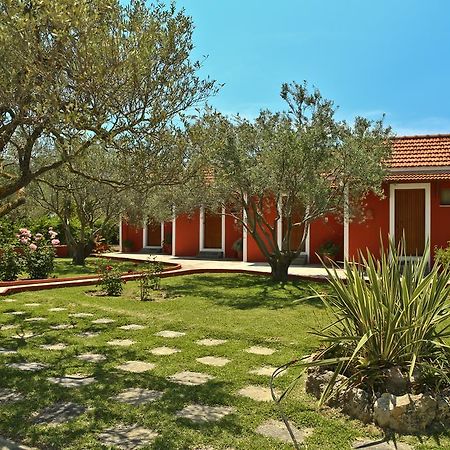 Dendrolivano Minia Exterior photo