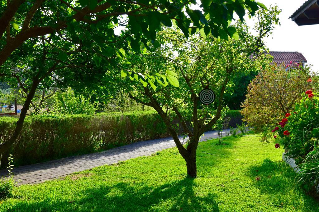 Dendrolivano Minia Exterior photo