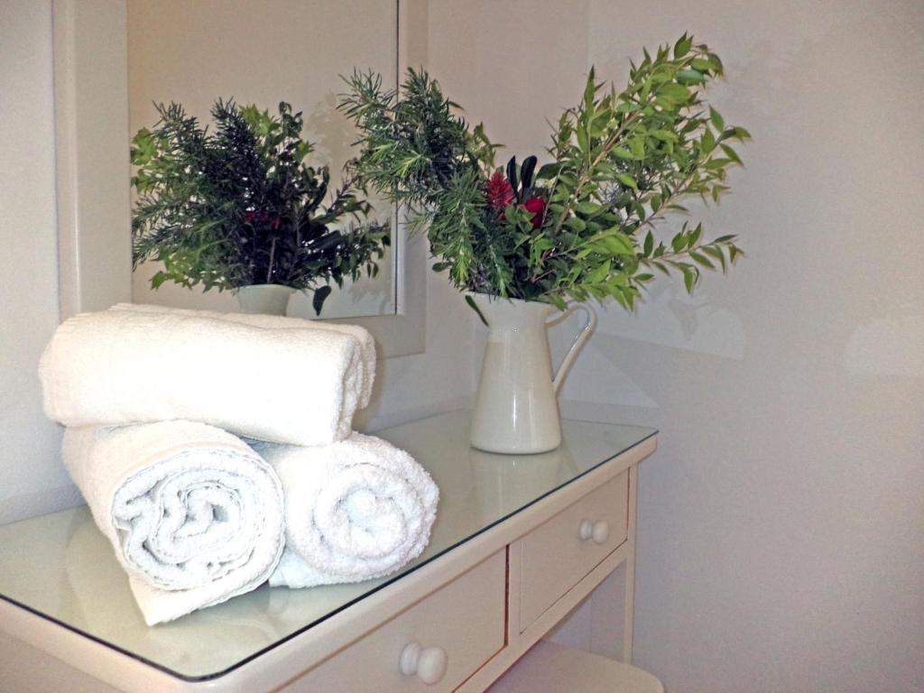 Dendrolivano Minia Room photo