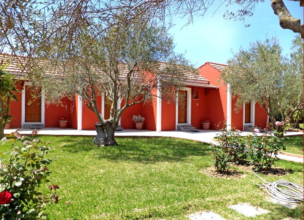 Dendrolivano Minia Room photo