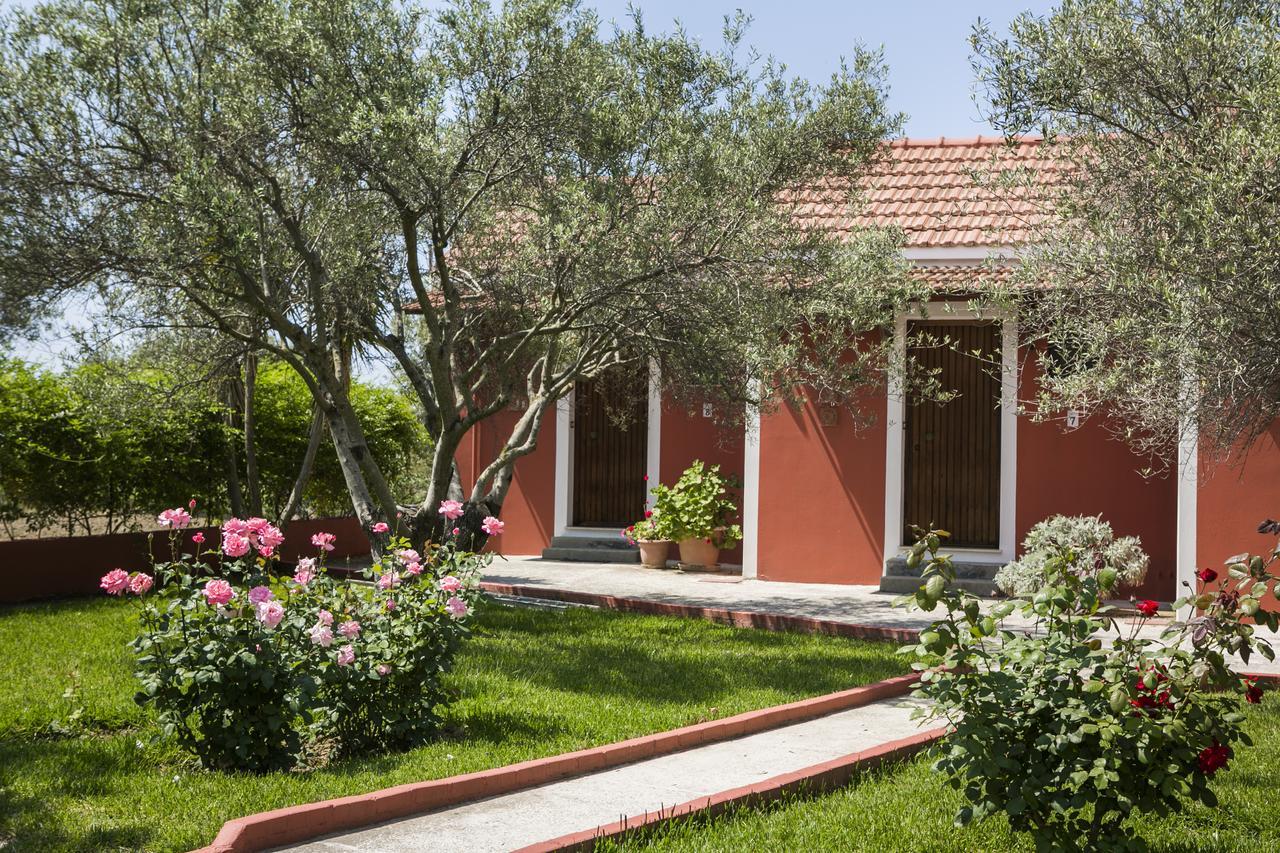 Dendrolivano Minia Exterior photo